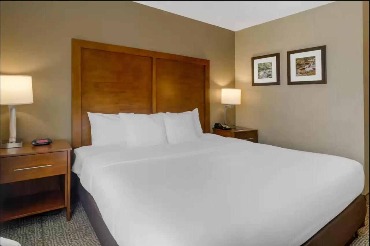 Comfort Inn & Suites Peachtree Corners Norcross Zewnętrze zdjęcie